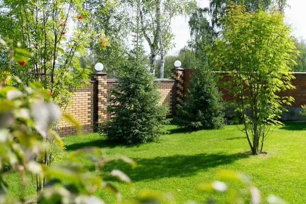 Рулонный газон Красноярск