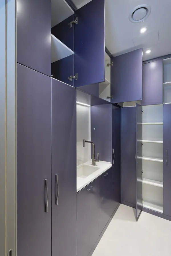 Проект на Кастанаевской: гардеробная, прачечная