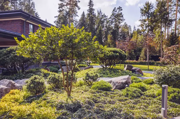 Архитектурное Решение в Пейзажном Стиле