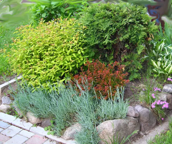 Наш сад / Our garden