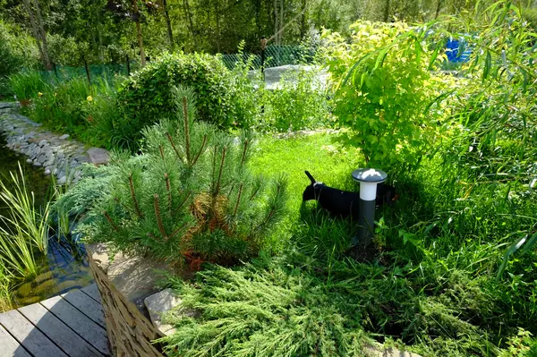 Зеркальный Ландшафтное проектирование