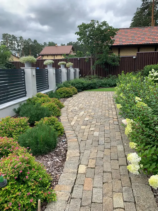 Золотой карп