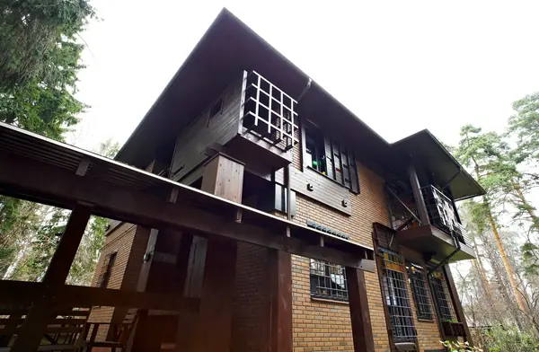 дом в мамонтовке