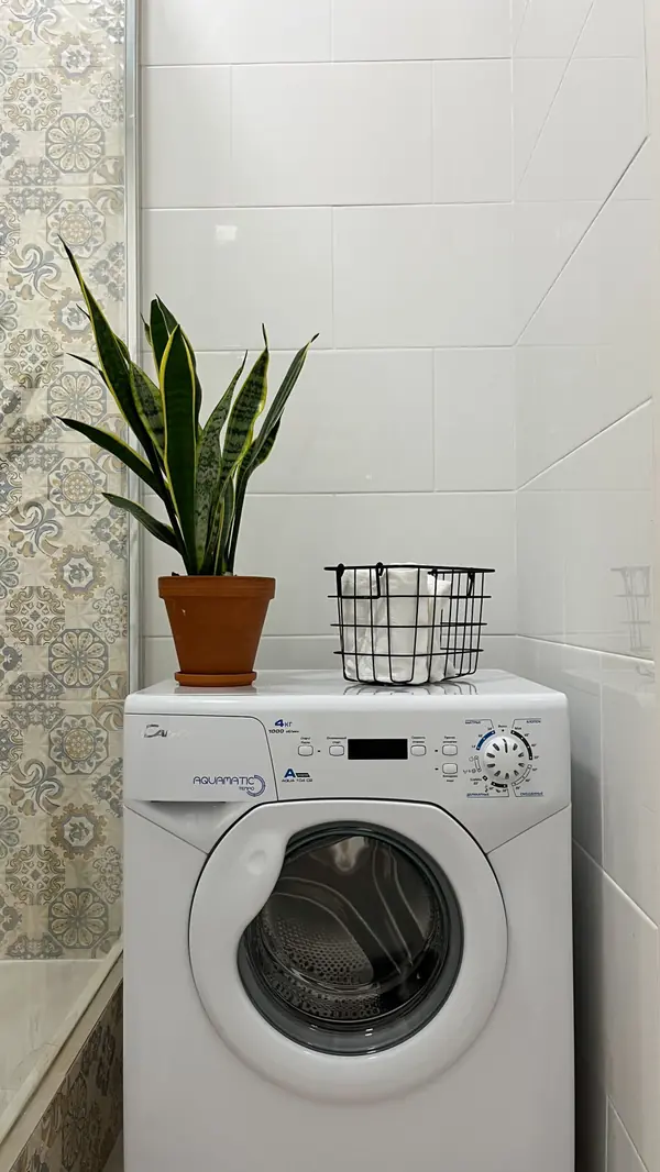 Ильинские луга