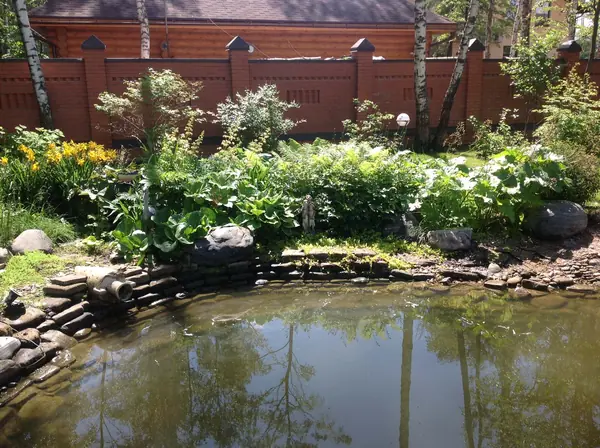 Сад с водоемом и террасой