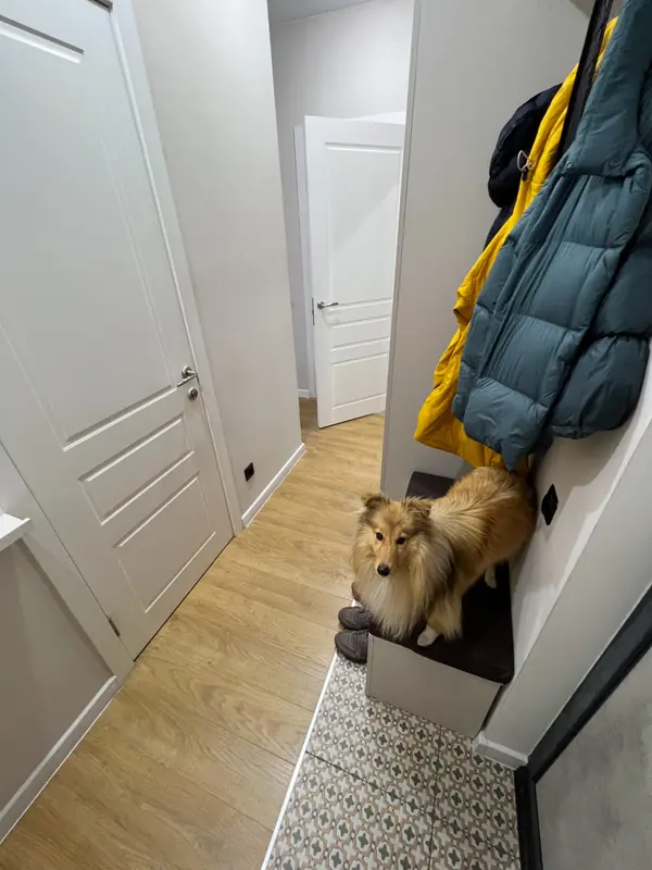 Реализация дизайн-проекта "Лето в Петербурге"