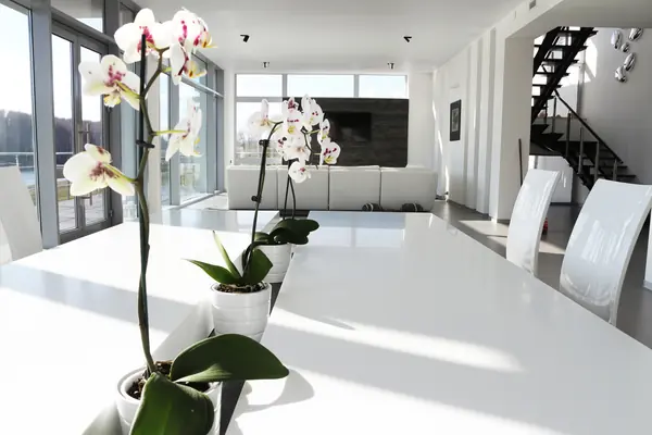 Загородный дом Миф на озере