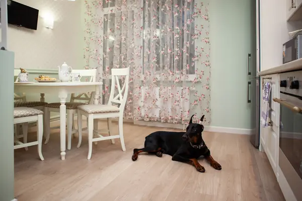 Квартира в Светлом