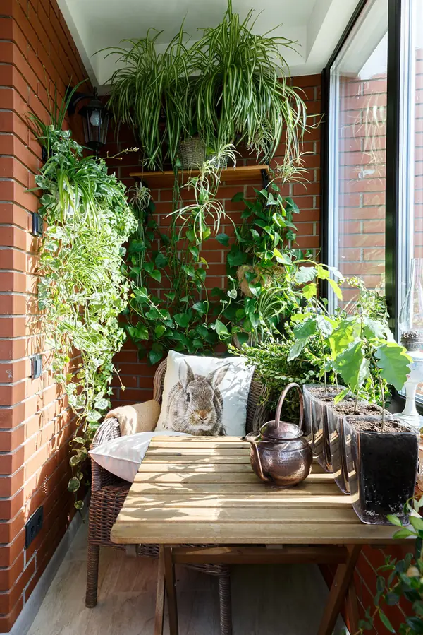 частная квартира