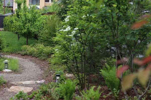 Русский лес