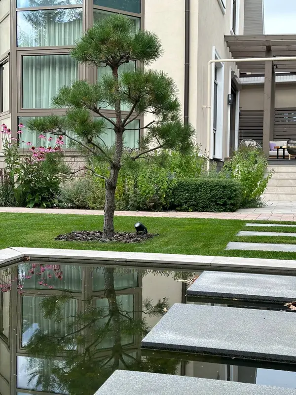 Водоем:Чистые линии