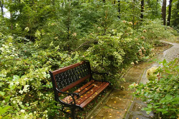 Ландшафтный проект лесного участка "Тихое очарование дворянской усадьбы".