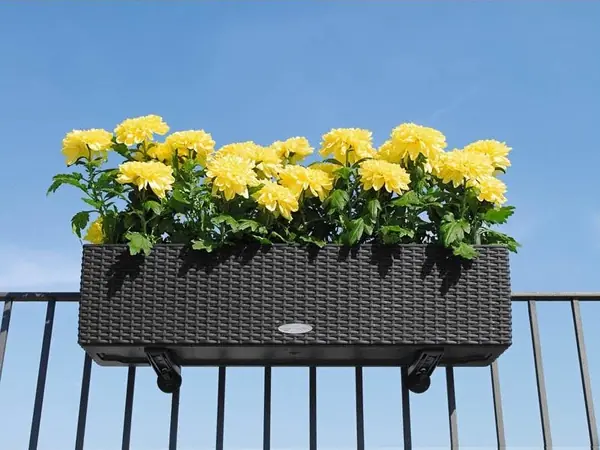 Стиль загородного домика