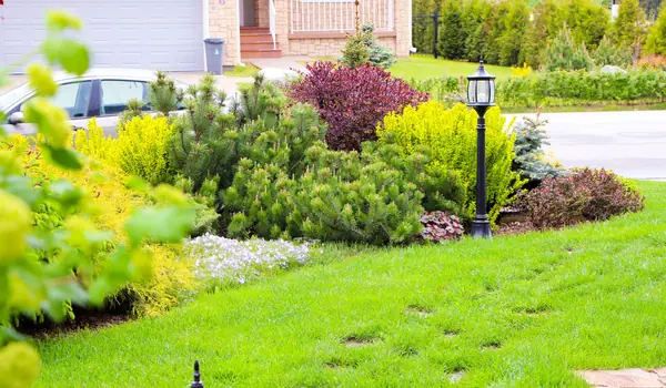 Новые Вешки