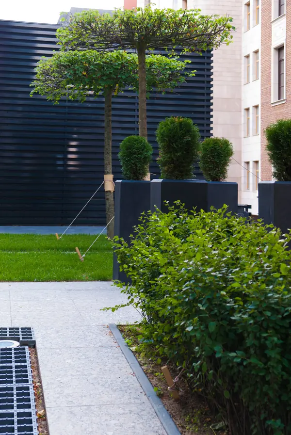 ЖК "Barkli Virgin House"