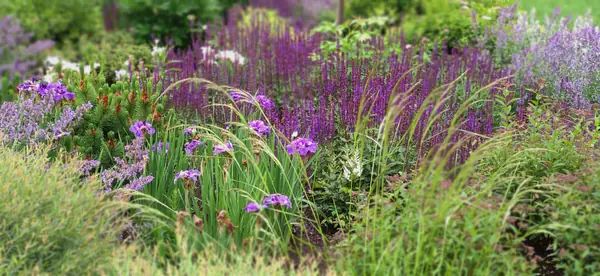 Проект "Волга"