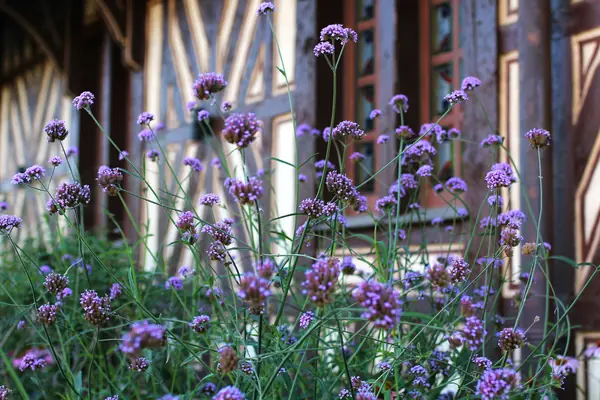 Загородный клуб