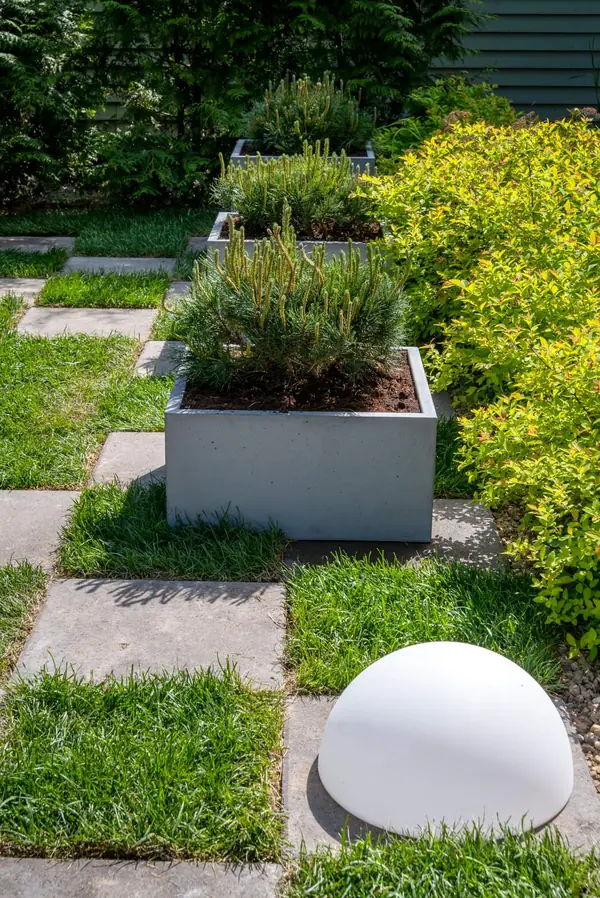 Беседка и терраса для Дмитрия Крылова. Первый Канал "На дачу! С Наташей Барбье"