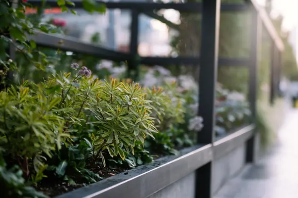 Архитектура природы