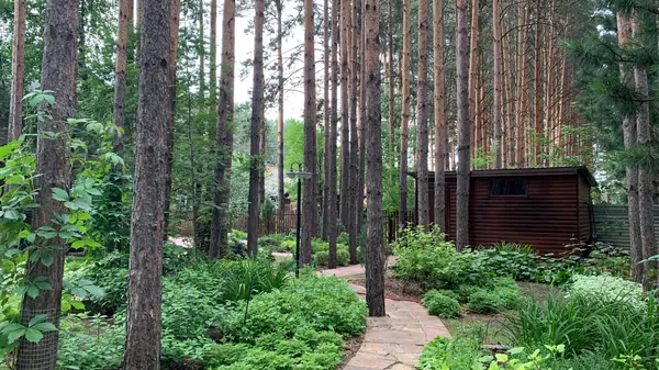 Реализованные проекты