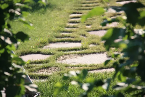 Дорожка из натурального камня (розовый плитняк) в траве