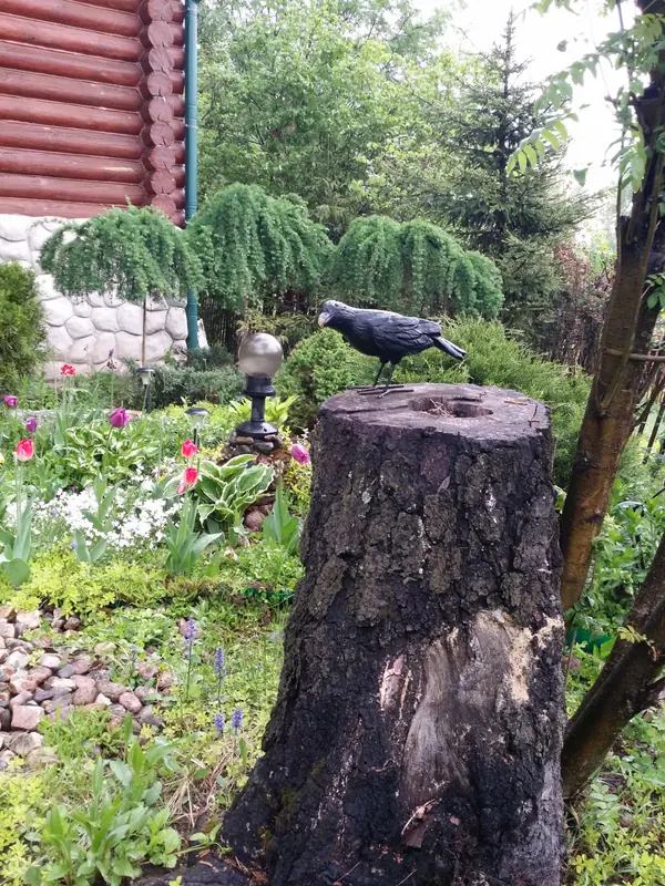 Вписываясь в природу