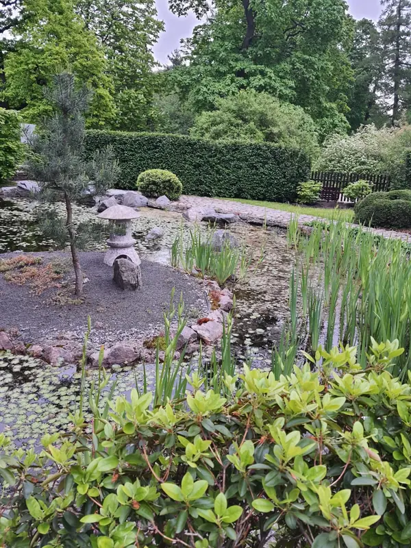 Декоративный фонтан в японском стиле в Ботаническом саду Петербурга