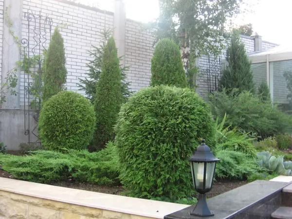 Участок в Парголово