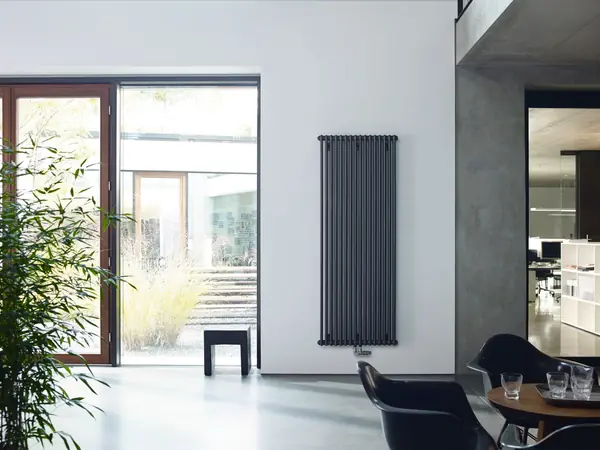 Zehnder Charleston в интерьере