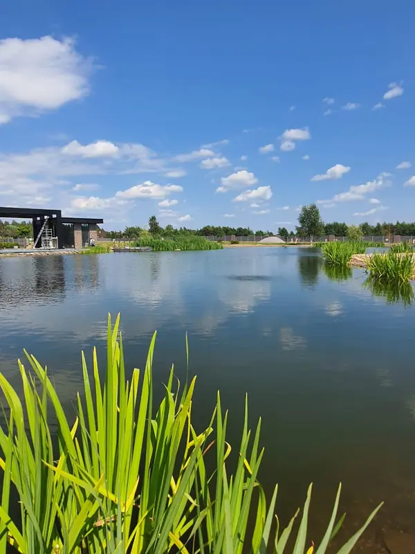 Декоративный водоём в п. Репино (Лен. обл.)