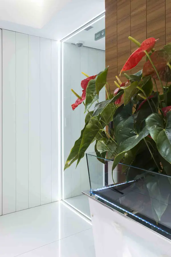 офис на Якиманке