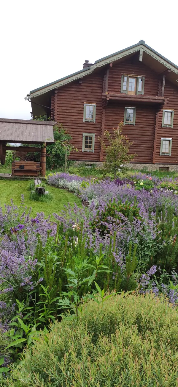 Проект "Волга"