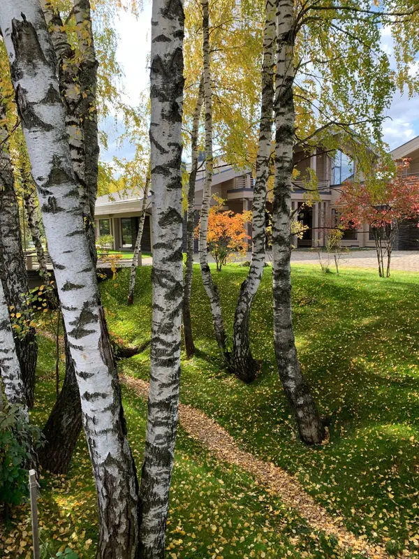 Проект сада с водоемом