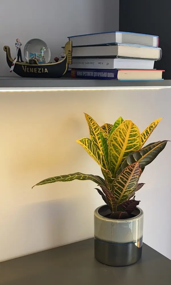 Декорирование частных квартир