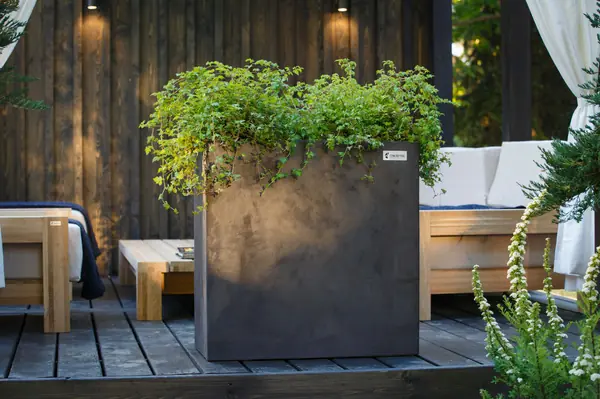 Вазоны и кашпо