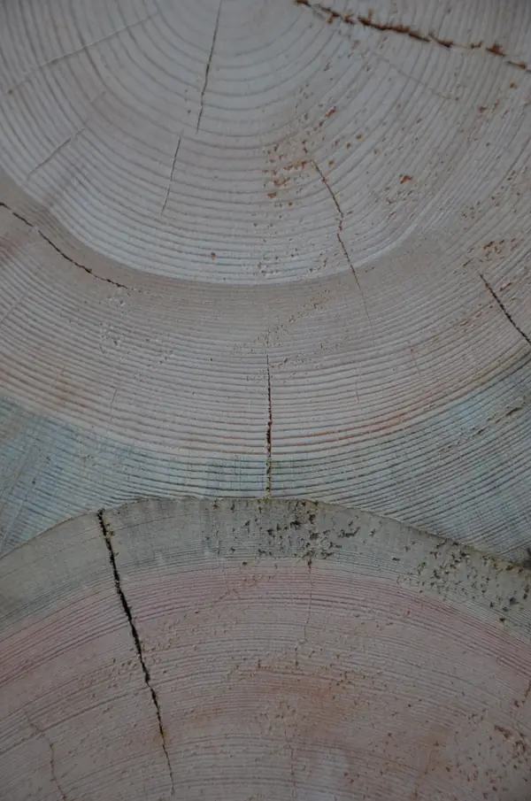 Избушка на опушке