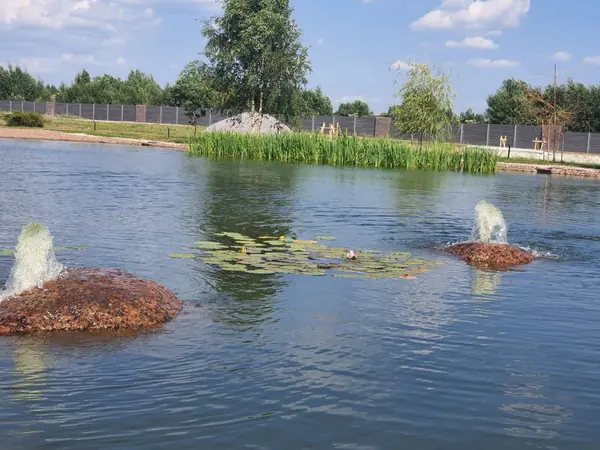 Декоративный водоём в п. Репино (Лен. обл.)