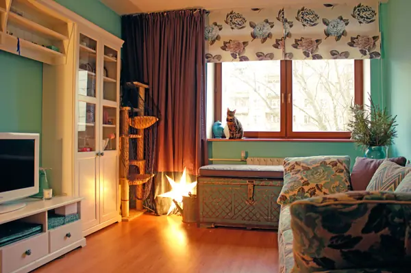 Римские шторы и портьера