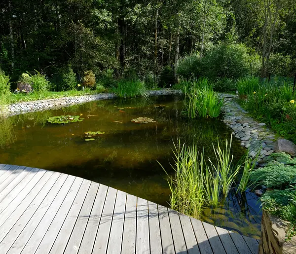 Зеркальный Ландшафтное проектирование