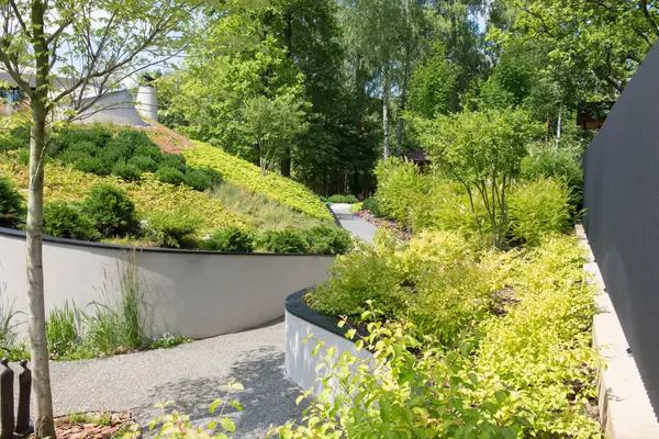 Бионический дом