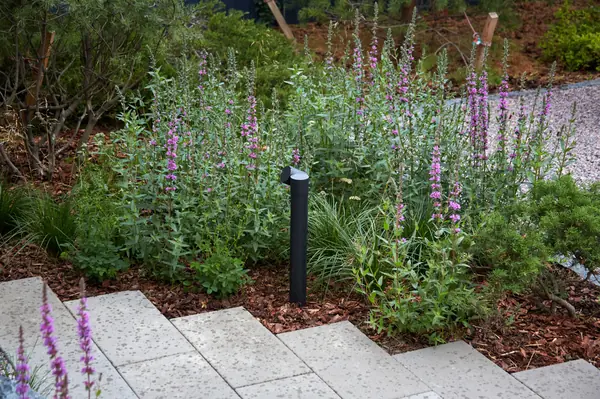 Модульный сад