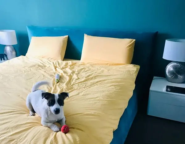 Дизайн квартиры в г.Москва