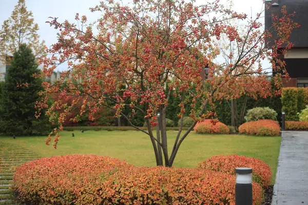 Тихая роскошь