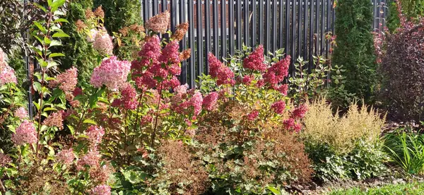 "Мурановские кружева"