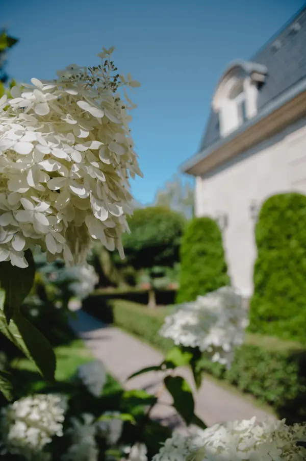 Регулярный сад