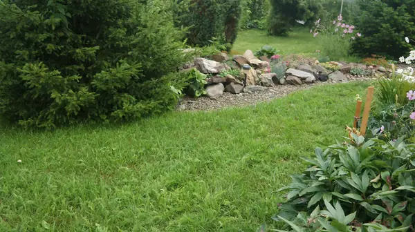 Ландшафтный дизайн