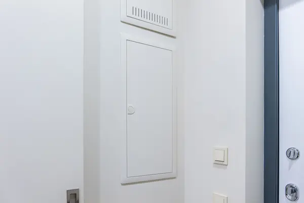 Тушино 2018 (2)