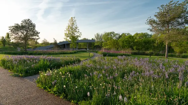 Природный сад. Жуковка XXI век. 2017-2018 гг.