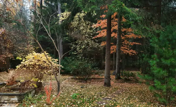 Романтический сад в пейзажном стиле