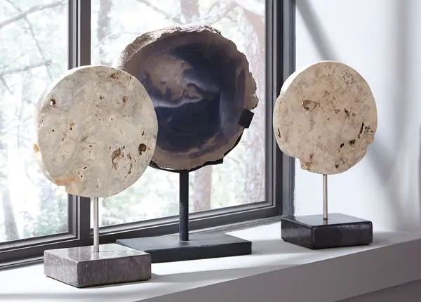 Окаменелости Бали и Явы